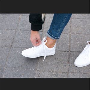 FRYE 🔴 Ivy sneakers